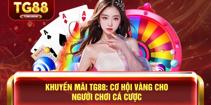 Giới Thiệu Tổng Quan Về CEO TG88